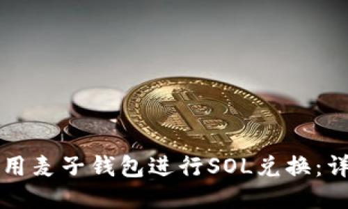 如何使用麦子钱包进行SOL兑换：详细指南