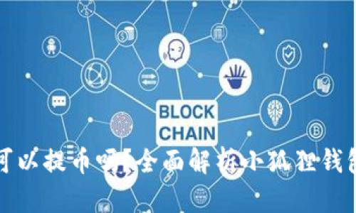 小狐狸钱包可以提币吗?全面解析小狐狸钱包的提币功能