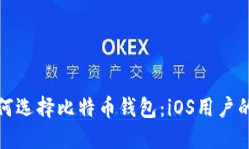 在国内如何选择比特币钱包:iOS用户的全面指南