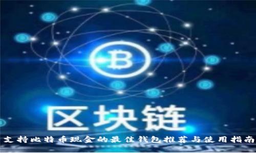 支持比特币现金的最佳钱包推荐与使用指南