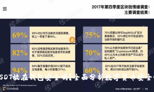 USDT放在钱包安全吗?全面分析数字货币安全性