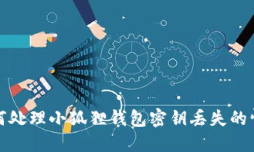 如何处理小狐狸钱包密钥丢失的情况