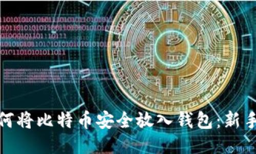 : 如何将比特币安全放入钱包:新手指南