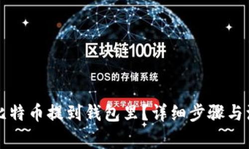怎么把比特币提到钱包里？详细步骤与注意事项