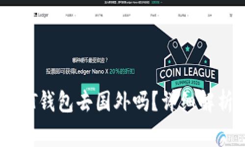 可以携带USDT钱包去国外吗?详细解析与注意事项