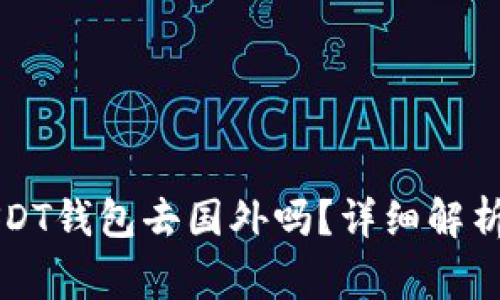 可以携带USDT钱包去国外吗?详细解析与注意事项
