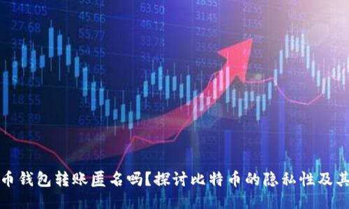 比特币钱包转账匿名吗?探讨比特币的隐私性及其影响
