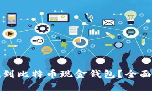 哪里可以找到比特币现金钱包?全面指南与推荐