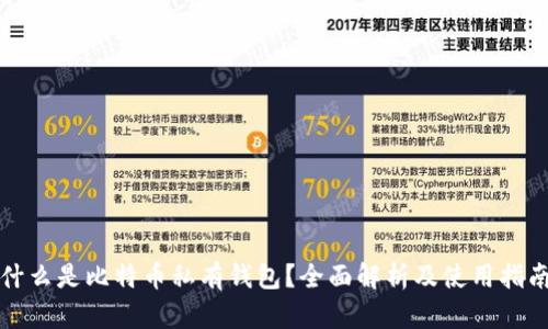 什么是比特币私有钱包?全面解析及使用指南