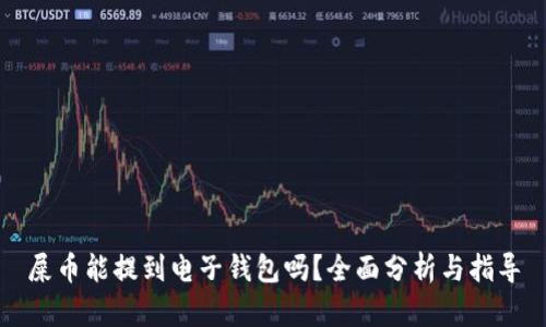 屎币能提到电子钱包吗?全面分析与指导