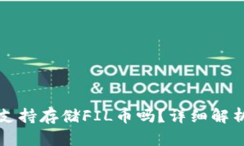 小狐狸钱包支持存储FIL币吗?详细解析与用户指南