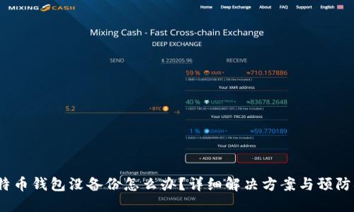比特币钱包没备份怎么办?详细解决方案与预防措施