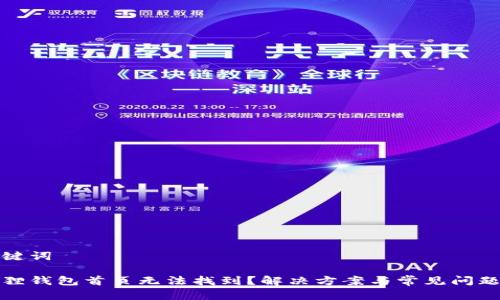 和关键词

小狐狸钱包首页无法找到？解决方案与常见问题解析