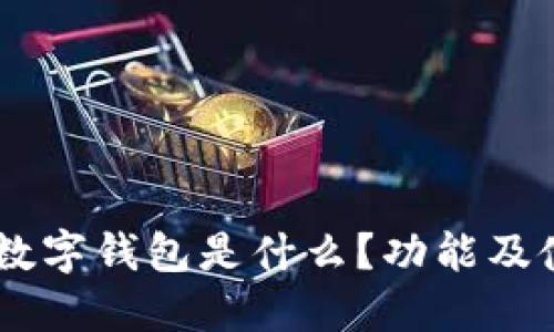 : USDT数字钱包是什么?功能及使用指南