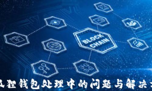 
小狐狸钱包处理中的问题与解决方案