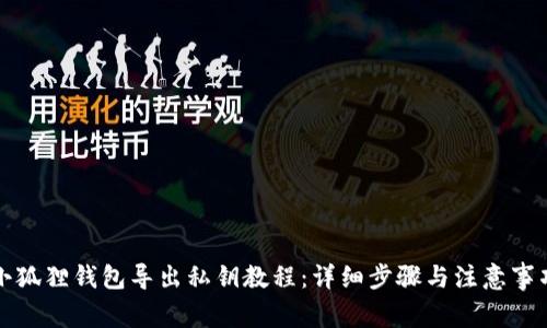 小狐狸钱包导出私钥教程:详细步骤与注意事项