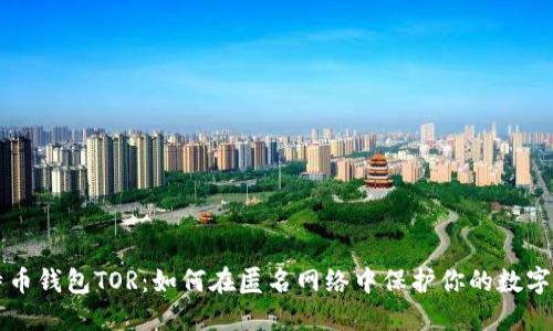 比特币钱包TOR:如何在匿名网络中保护你的数字资产
