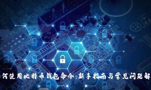如何使用比特币钱包命令：新手指南与常见问题解析