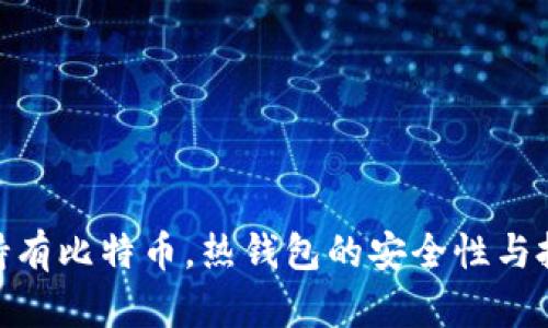 : 长期持有比特币,热钱包的安全性与投资策略
