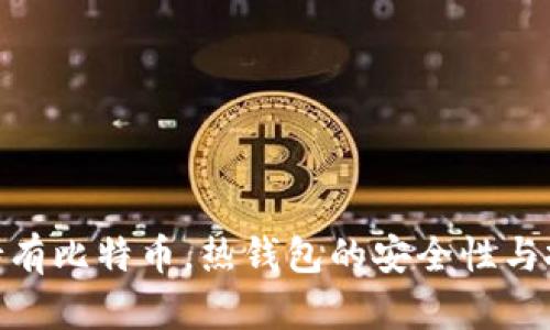 : 长期持有比特币,热钱包的安全性与投资策略
