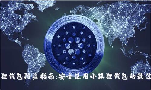 小狐狸钱包防盗指南：安全使用小狐狸钱包的最佳实践