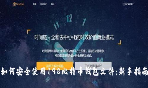 如何安全使用198比特币钱包文件：新手指南