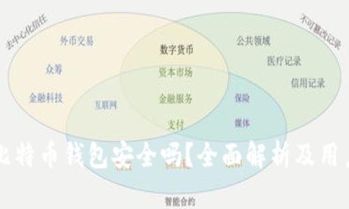 苹果比特币钱包安全吗？全面解析及用户指南