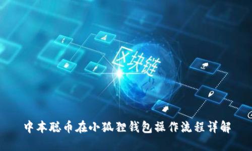 中本聪币在小狐狸钱包操作流程详解