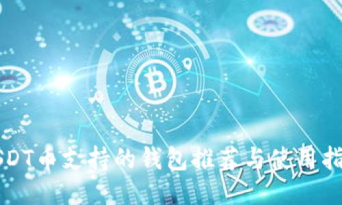 USDT币支持的钱包推荐与使用指南