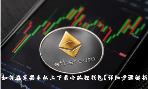 如何在苹果手机上下载小狐狸钱包?详细步骤解析