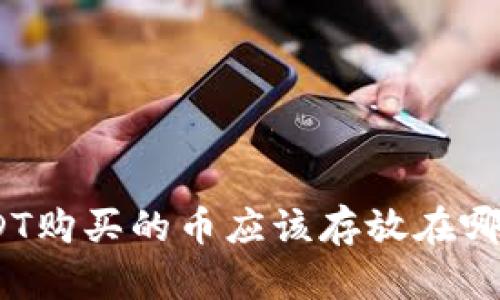 使用USDT购买的币应该存放在哪种钱包?