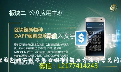 小狐狸钱包找不到了怎么回事?解决方法与常见问题解析