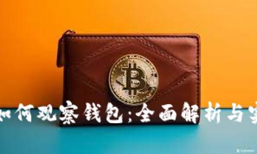 小狐狸如何观察钱包：全面解析与实用技巧