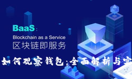 小狐狸如何观察钱包：全面解析与实用技巧