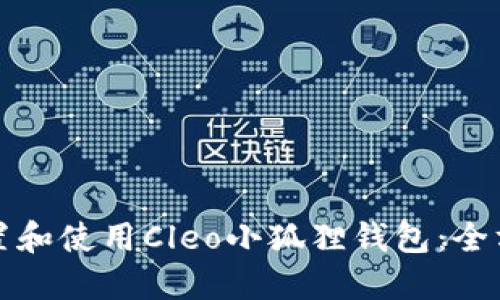 如何配置和使用Cleo小狐狸钱包:全方位指南
