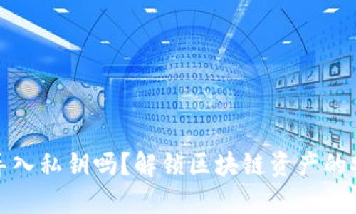 小狐狸钱包能导入私钥吗？解锁区块链资产的安全性与便捷性