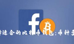 : 如何选择适合的比特币钱