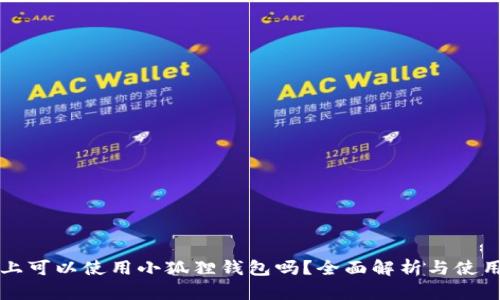 iPad上可以使用小狐狸钱包吗？全面解析与使用指南