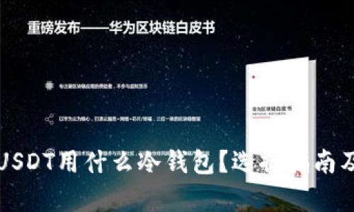 存放USDT用什么冷钱包？选择指南及推荐