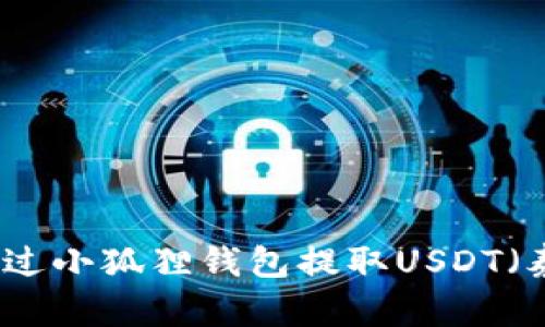 如何通过小狐狸钱包提取USDT(泰达币)