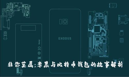 非你莫属：李晨与比特币钱包的故事解析