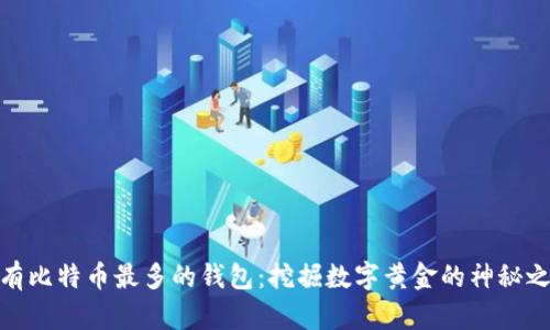 拥有比特币最多的钱包:挖掘数字黄金的神秘之地