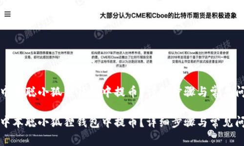 如何在中本聪小狐狸钱包中提币？详细步骤与常见问题解答

如何在中本聪小狐狸钱包中提币？详细步骤与常见问题解答