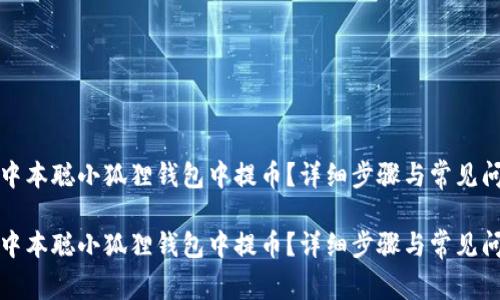 如何在中本聪小狐狸钱包中提币？详细步骤与常见问题解答

如何在中本聪小狐狸钱包中提币？详细步骤与常见问题解答