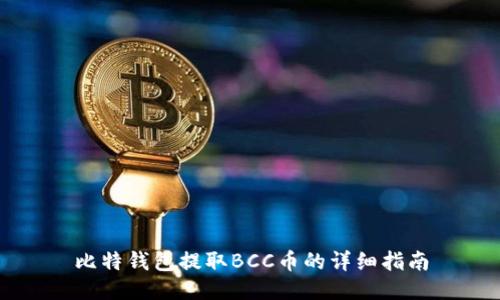 比特钱包提取BCC币的详细指南