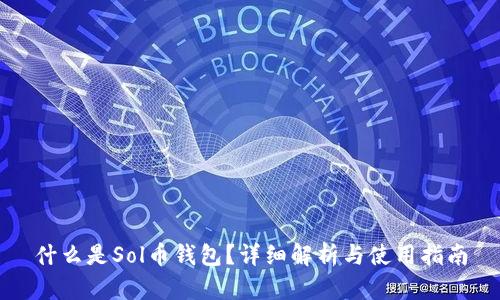 什么是Sol币钱包？详细解析与使用指南