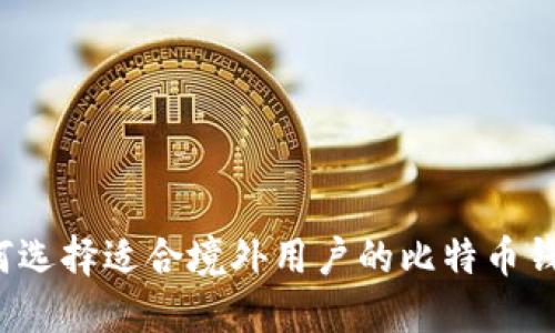 如何选择适合境外用户的比特币钱包?