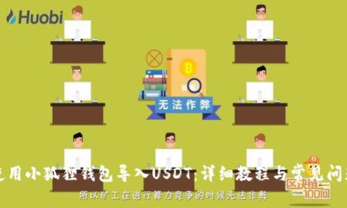 如何使用小狐狸钱包导入USDT:详细教程与常见问题解答