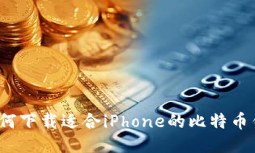 如何下载适合iPhone的比特币钱包