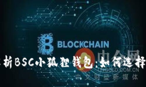 全面解析BSC小狐狸钱包:如何选择与使用